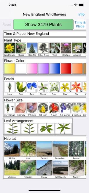 New England Wildflowers(圖1)-速報App