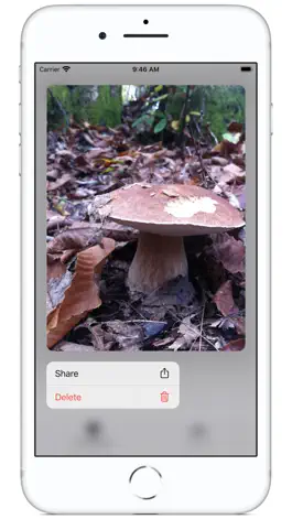 Game screenshot Track My Mushrooms apk