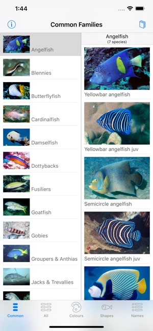 Oman Fish ID(圖1)-速報App