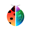 no app image