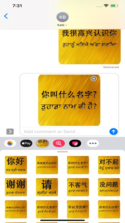 Chinese Punjabi screenshot-4