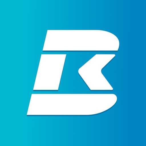 bitK - Cryptocurrency Portal Icon