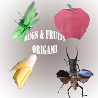 Fruits  Bugs Origami