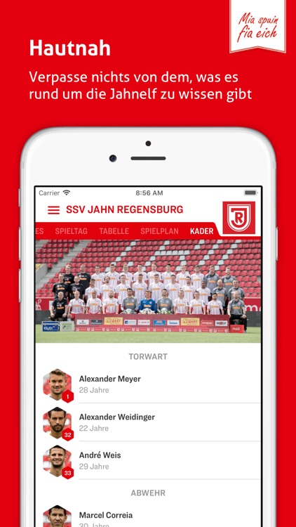 SSV Jahn screenshot-4