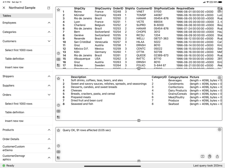 MSSQL Commander for iPad screenshot-3