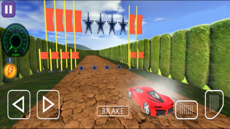 Real Car Racing Game Simulator screenshot-9