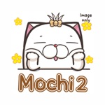 French Bulldog Mochi 2 Image