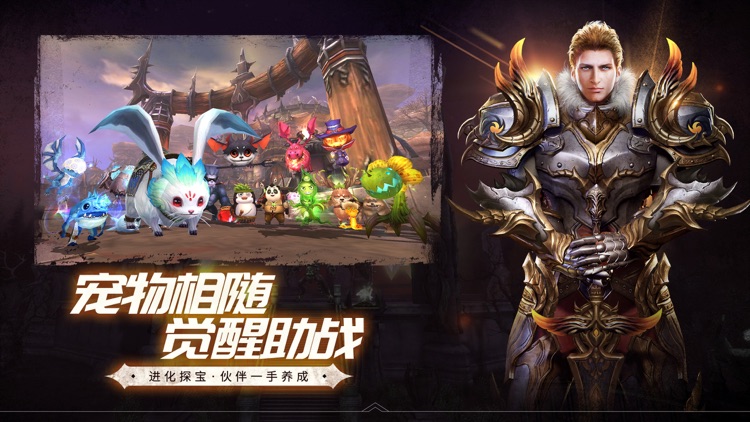 魔龙世界（Dragon Revolt） screenshot-4