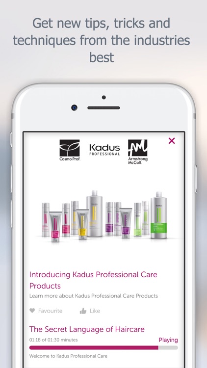 Kadus BSG Education