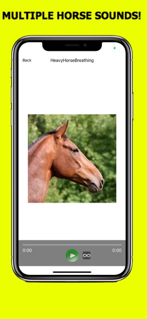 Horse Sounds+ Horse Soundboard(圖3)-速報App