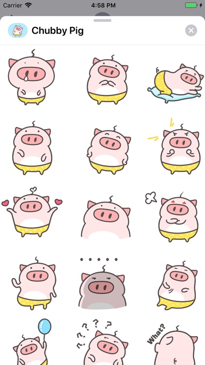 Chubby Pig Animated