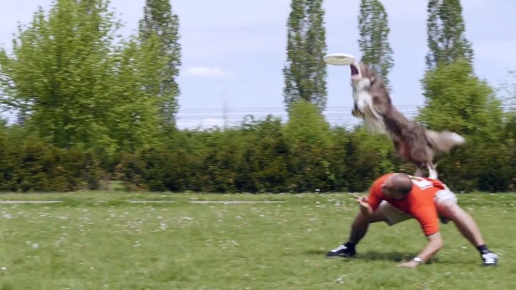 DiscDoggers Delight - Training screenshot-4