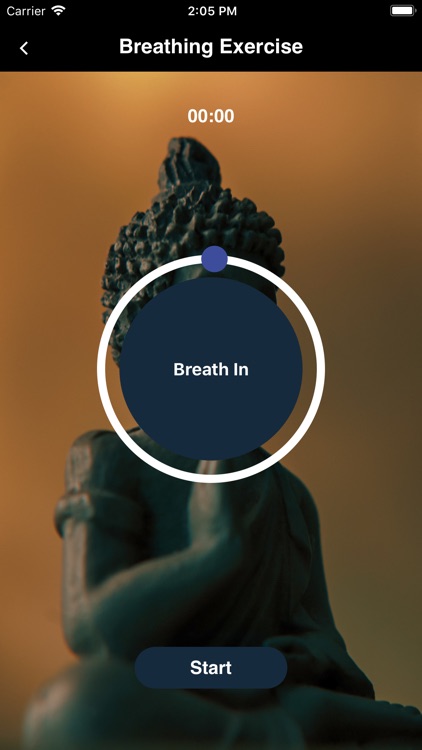 Meditation relax music - sound screenshot-4