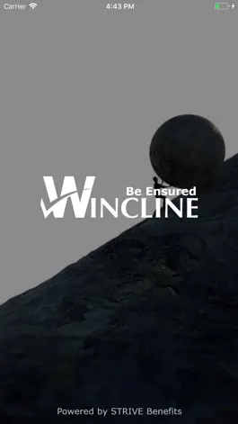 Game screenshot Wincline mod apk