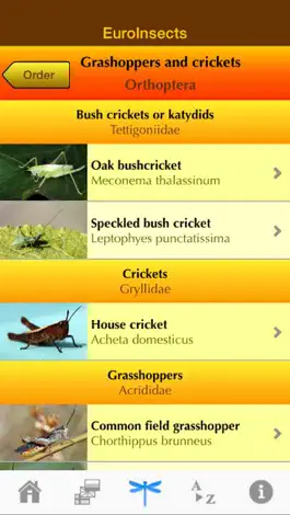 Game screenshot EuroInsects hack