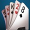 Not your normal solitaire game, but if you are familiar with the rules then this game will be easy for you