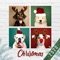 Download now and discover the wide collection of Xmas photo templates and layouts to frame your pictures