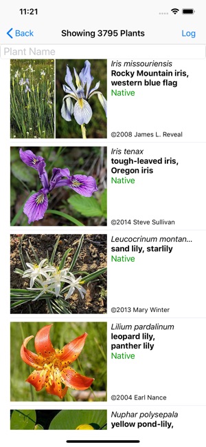 Oregon Wildflower Search(圖2)-速報App