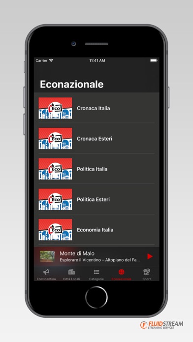 Eco Vicentino screenshot 3