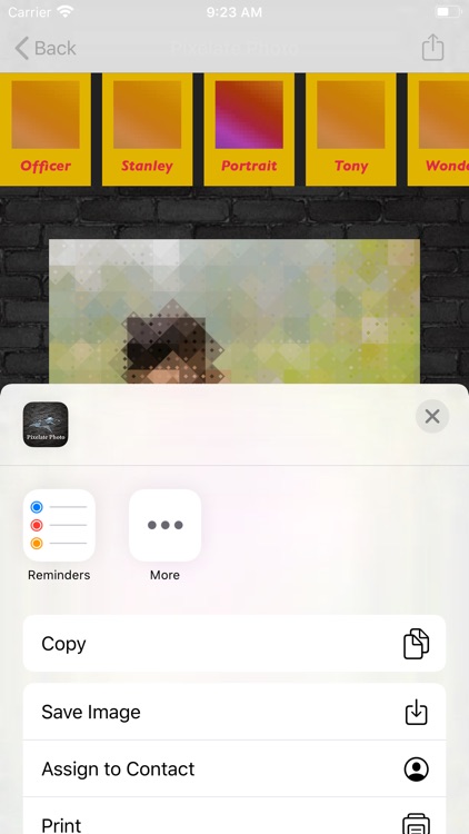 Pixelate Photo Made screenshot-3