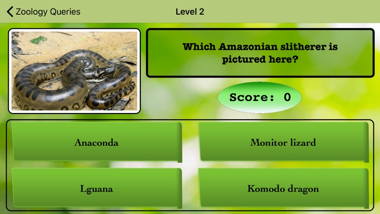 Zoology Queries screenshot-3