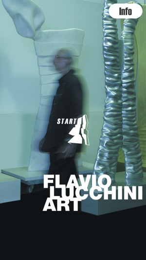 Flavio Lucchini Art