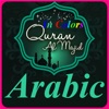 Quran Arabic 4 Scripts