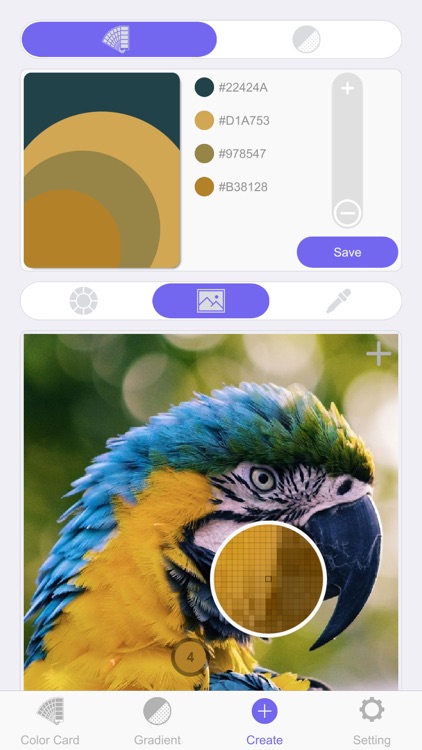 Color Card Pro
