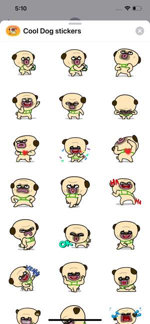 Cool Dog Animated Stickers