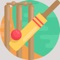 Gully Cricket 2d games , Tap to play the shot