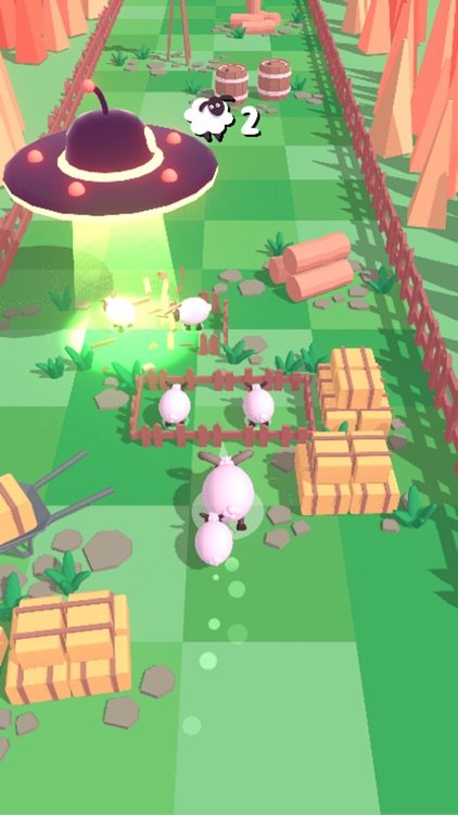 Sheep Stampede