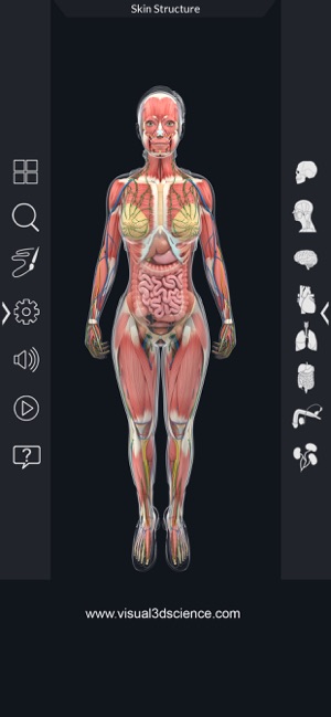 Human Anatomy(圖4)-速報App