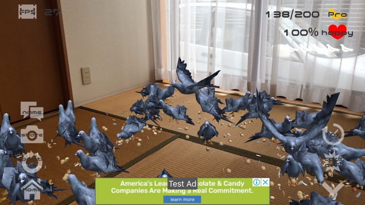 Anywhere Pigeon AR screenshot-3