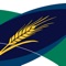 The MyCrop Barley App is a one stop shop for your barley agronomy needs