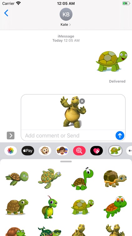 turtle sticker