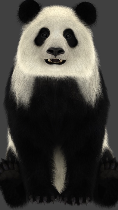 Panda AR screenshot 3