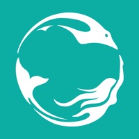 Living Reef - Daydream Island pour PC