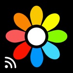 Lifestream - Cast your moments