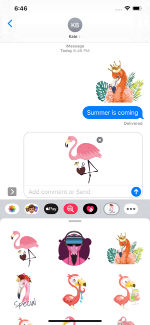 Flamingo Tropical Stickers(圖1)-速報App