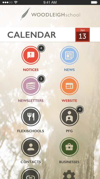App preview