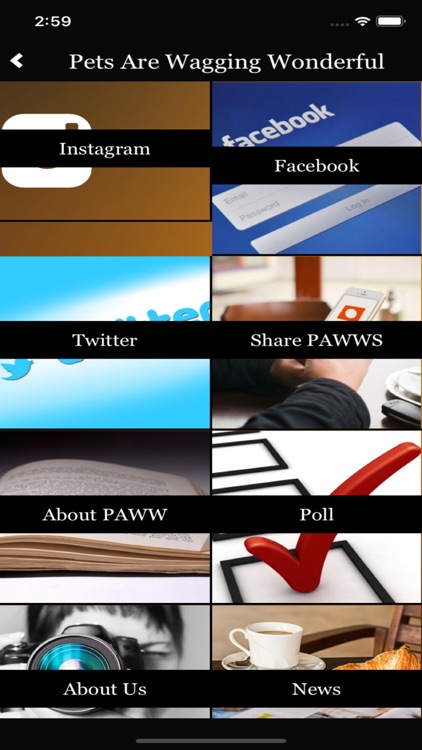 P.A.W.W