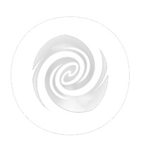 Vortic pour PC