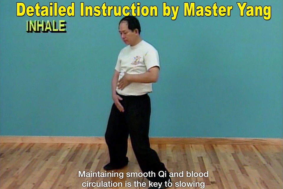 Qigong Massage: Partner screenshot 4