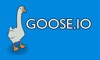 GOOSE.IO TV