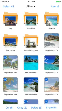 Game screenshot Photo-Sort apk