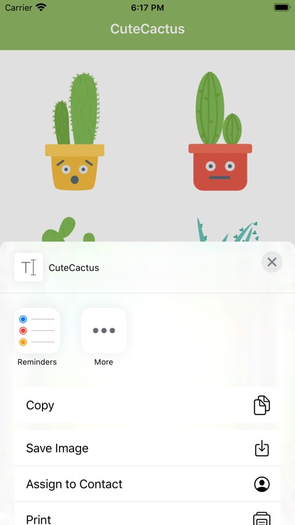 Cute Cactuss