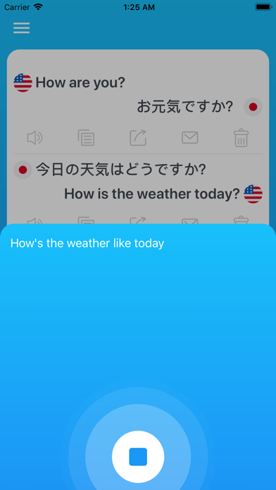 Voice Translation Pro screenshot 3