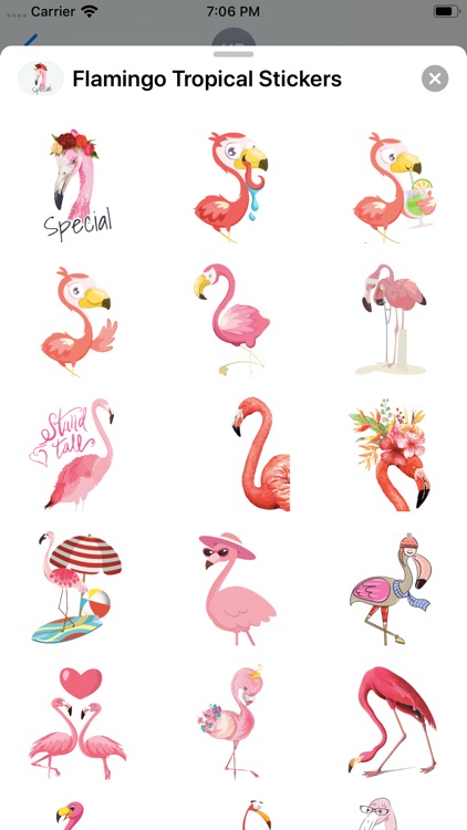 Flamingo Tropical Stickers