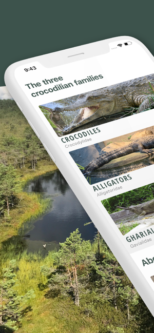 Crocodile, Alligator, Gharials(圖1)-速報App