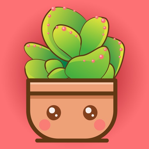 多肉花园记 肉肉成长对比图by Kai Zhang